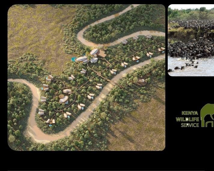Kenya Wildlife Service (KWS) Rejects Claims That New Ritz-Carlton Safari Camp is Blocking Wildlife Migration