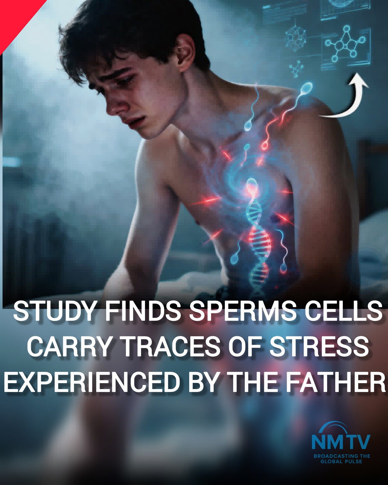 Sperm ccells carry stress experienced by the father