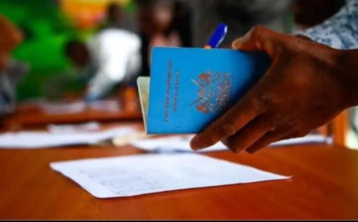 Fake Overseas Jobs: State Officers, MPs Linked to Rogue Agencies — Senators Demand Action